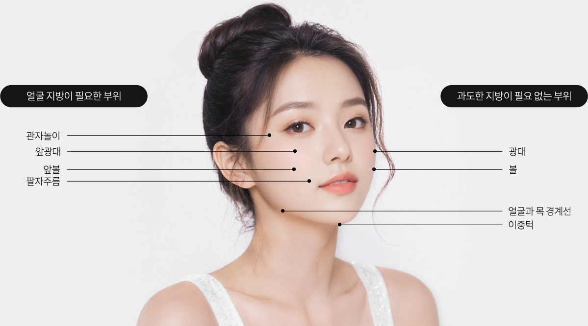 얼굴 지방 부위
