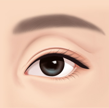 STEP 01